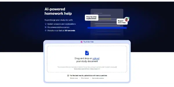 Screenshot of AI Homework
