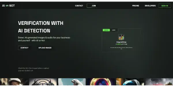 Screenshot of AI or Not