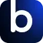 Bagoodex