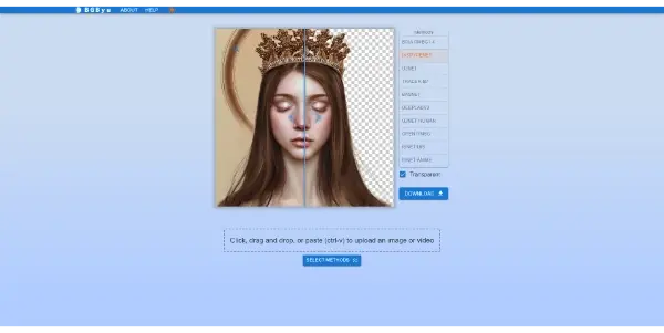 Screenshot of BGBye