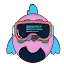 CommandDash