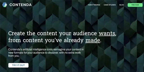 Screenshot of Contenda