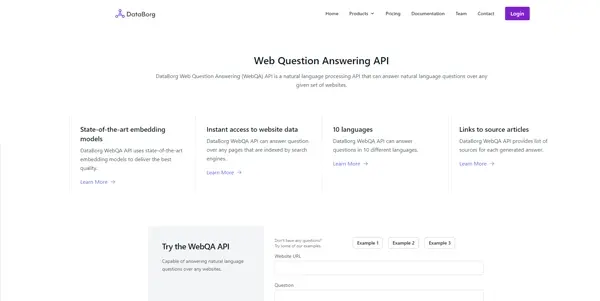 Screenshot of Databorg AI