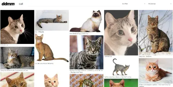 Screenshot of DDMM.ai