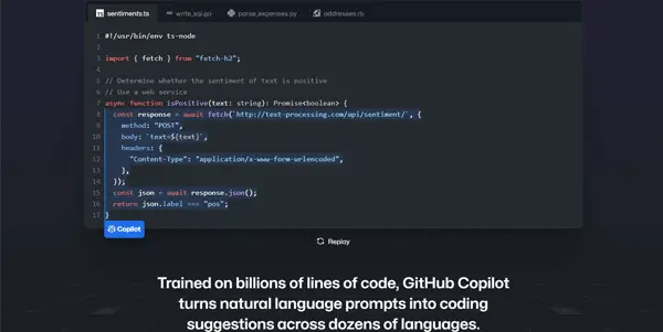 Screenshot of GitHub Copilot AI