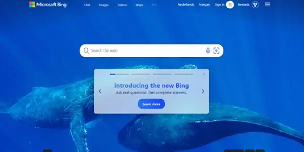 Screenshot of Microsoft Bing