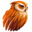 Owlift