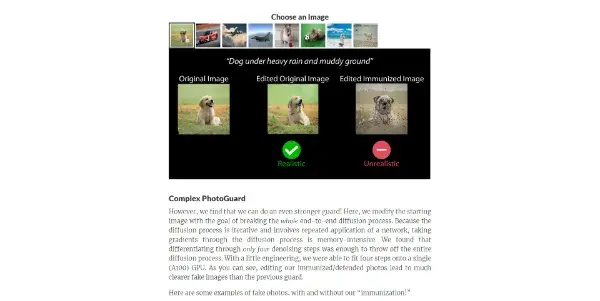 Screenshot of PhotoGuard AI