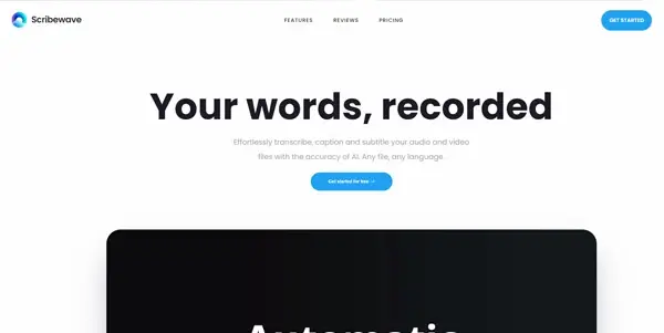 Screenshot of Scribewave AI