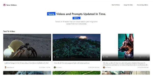 Screenshot of Sora Videos