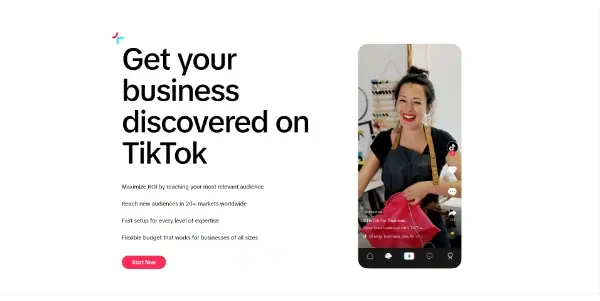 Screenshot of TikTok For Business