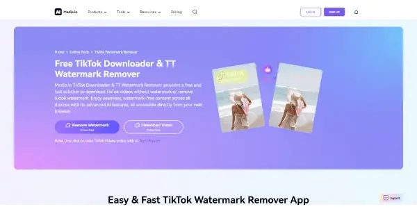 Screenshot of TikTok Watermark Remover