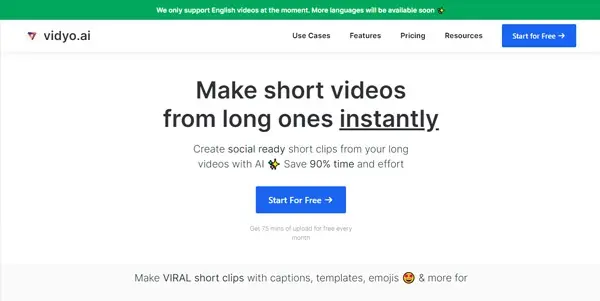 Screenshot of Vidyo AI