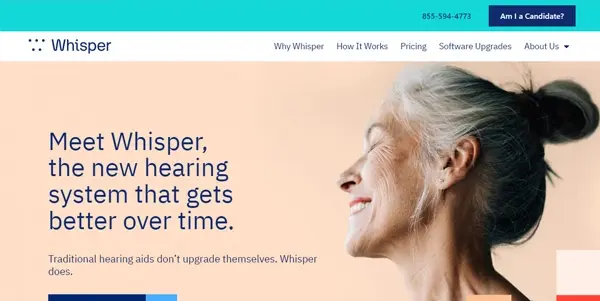 Screenshot of Whisper AI